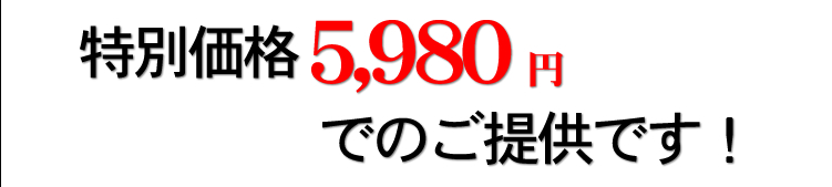 特別価格5,980円でのご提供です!