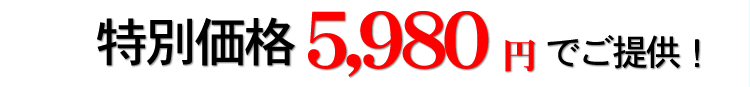 特別価格5,980円