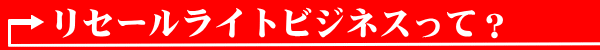 リセールライトビジネスって?