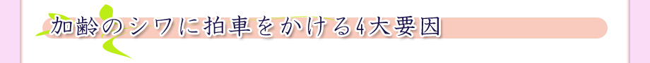 加齢のシワに拍車をかける4大要因