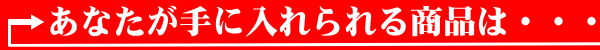 あなたが手に入れられる商品は