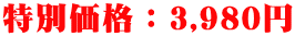 ���ʉ��i�F3,980�~