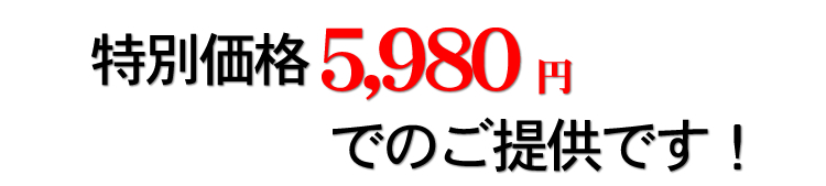 ���ʉ��i5,980�~�ł̂��񋟂ł��I
