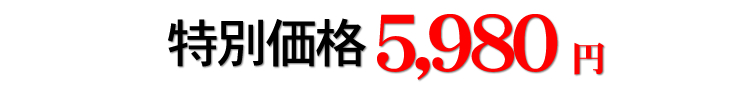 ���ʉ��i5,980�~