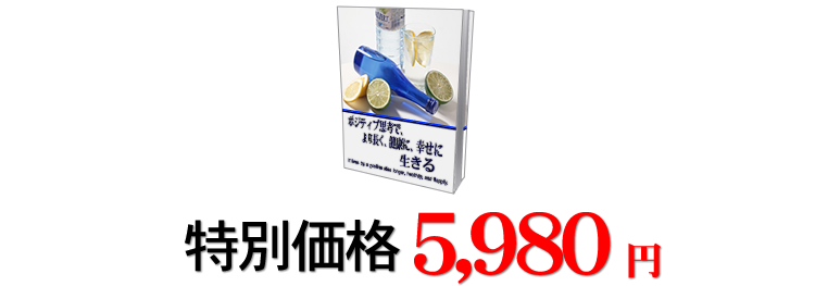 ���ʉ��i5,980�~