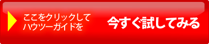 ここをクリックしてハウツーガイドを今すぐ試してみる
